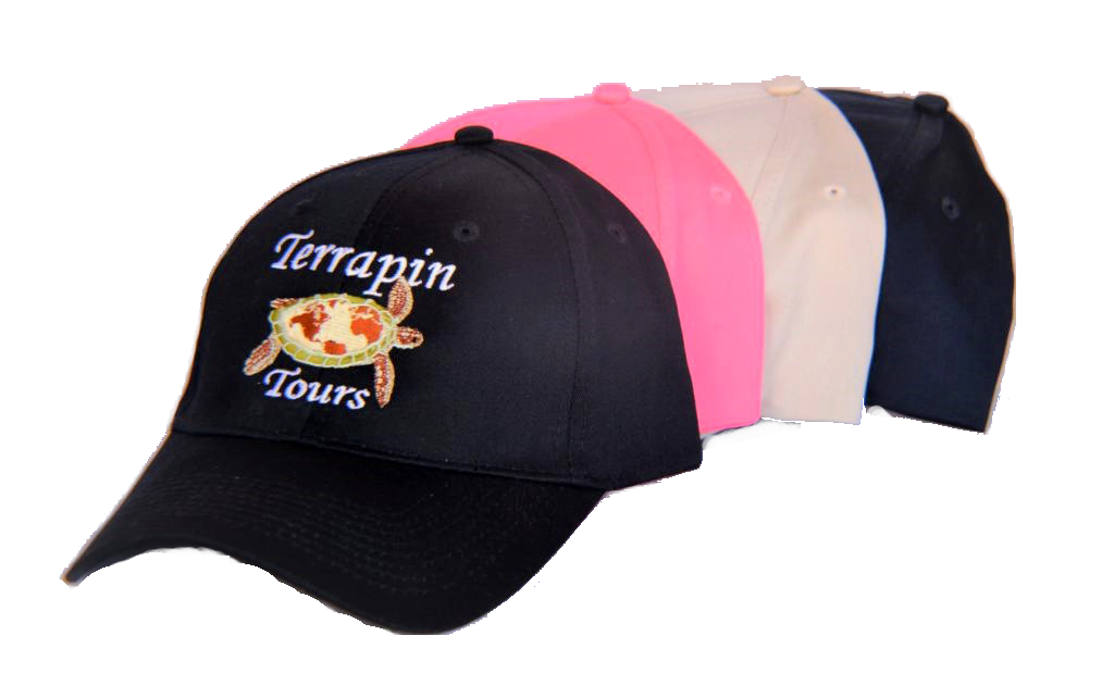 hats-1024x630-1