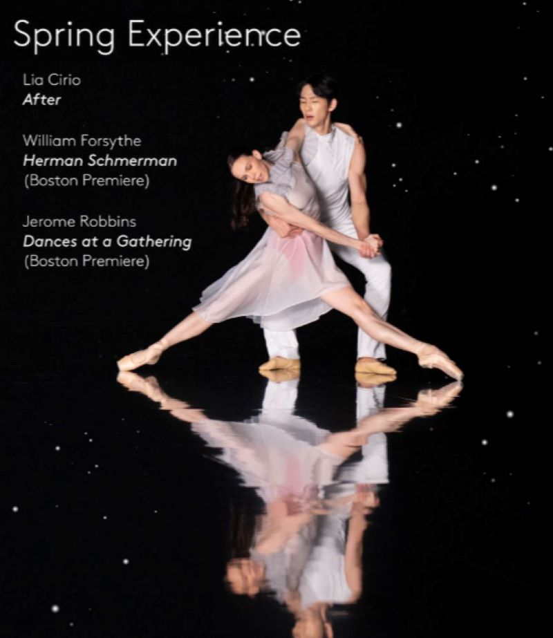 Boston Ballet Spring Experience