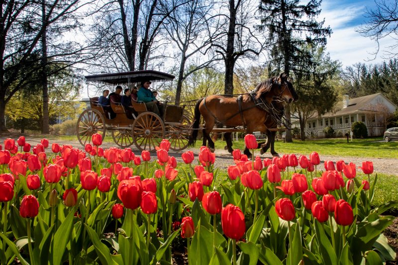 The Biltmore & Greenbrier