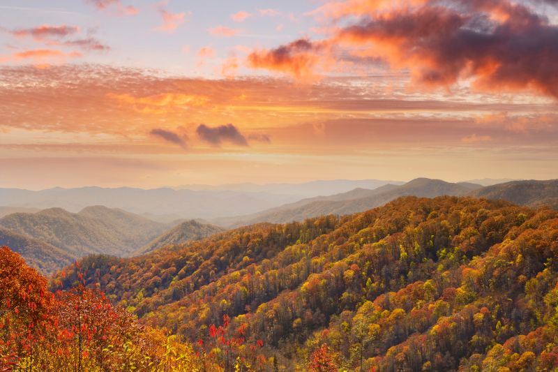 Fall in the Smoky Mountains ~ Dollywood & Biltmore